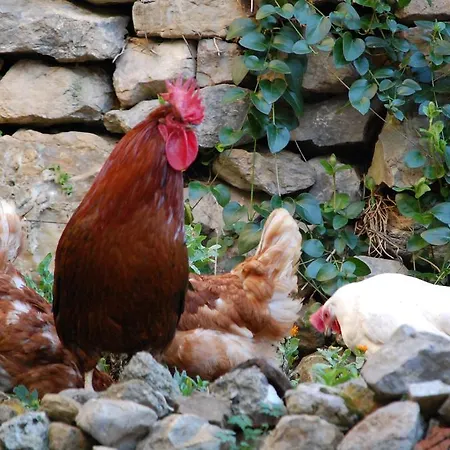 Venkovský dům Casa Gelo Pola de Somiedo